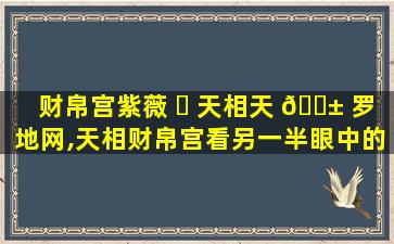 财帛宫紫薇 ☘ 天相天 🐱 罗地网,天相财帛宫看另一半眼中的你